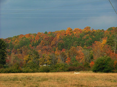 Late afternoon across the road