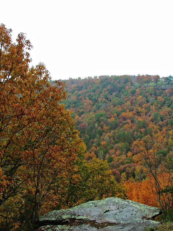 Buck's Pocket in fall