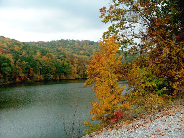 Fall in Alabama