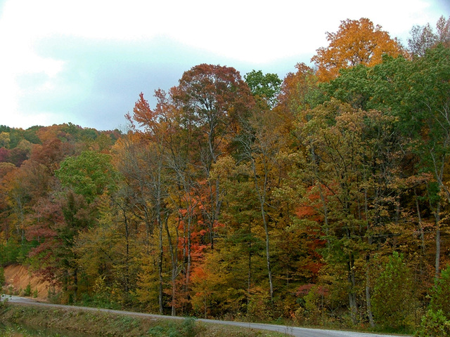 Fall in Alabama