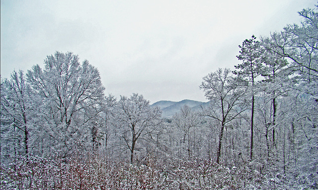 Snow in the foothills