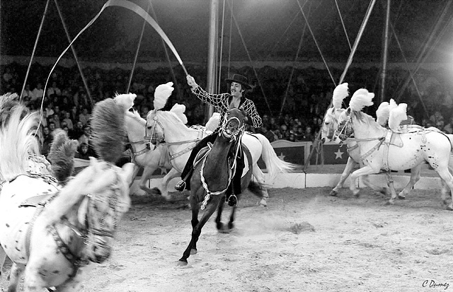 Emilien et sa cavalerie