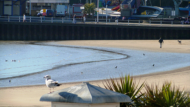 Late Spring at Weymouth beach