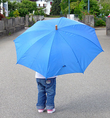 der blaue Schirm