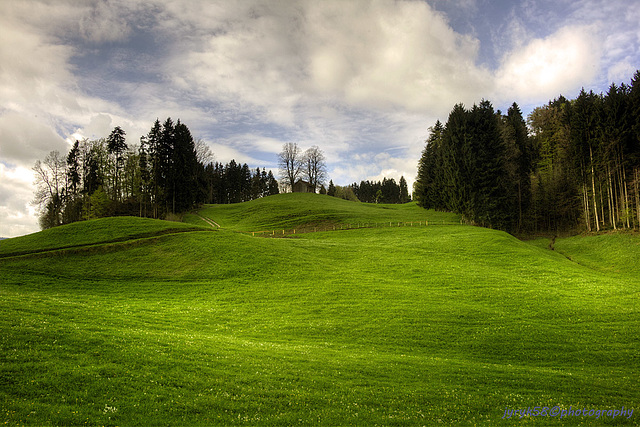 Herisau_Switzerland 3