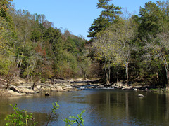 Locust Fork River