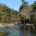 Locust Fork River