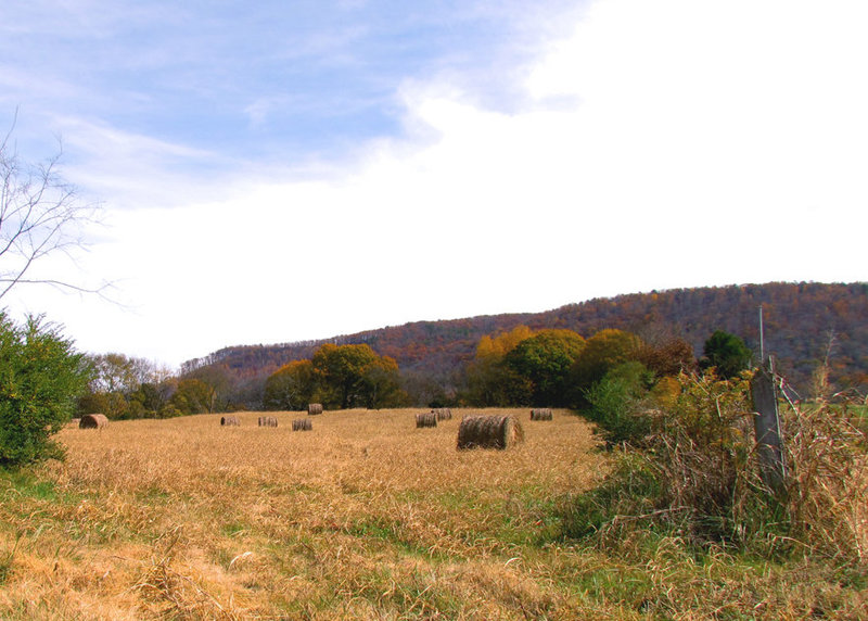 Hay Bales