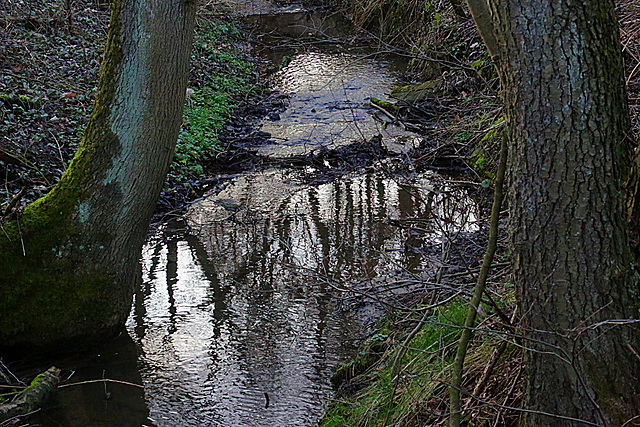 20140211 0104VAw Fischteiche, Salzetal