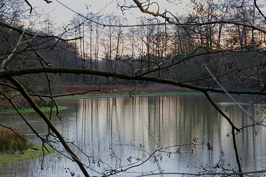 20140211 0103VAw Fischteiche, Salzetal