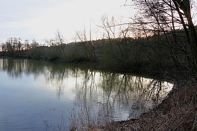 20140211 0102VAw Fischteiche, Salzetal