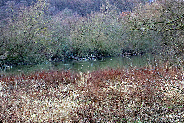 20140211 0097VAw Fischteiche, Salzetal