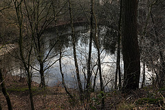 20140211 0086VAw [D~LIP] Teich am Stumpfen Turm, Landschaftsgarten, Bad Salzuflen