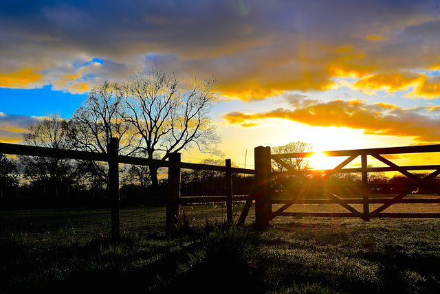 Haughton sunset