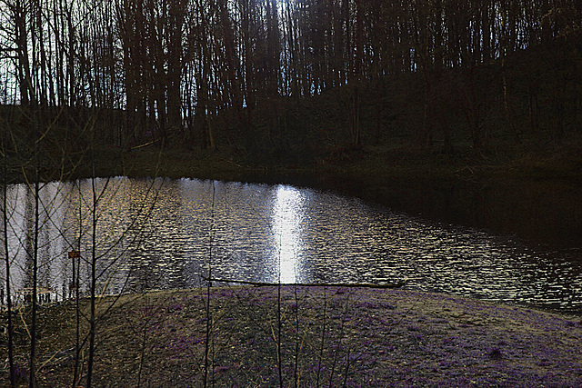 20140211 0084VAw [D~LIP] Teich am Stumpfen Turm, Landschaftsgarten, Bad Salzuflen