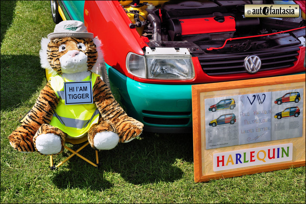VW Polo Harlequin - Details Unknown