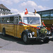 Omnibustreffen Sinsheim/Speyer 2011 F1 B17 c