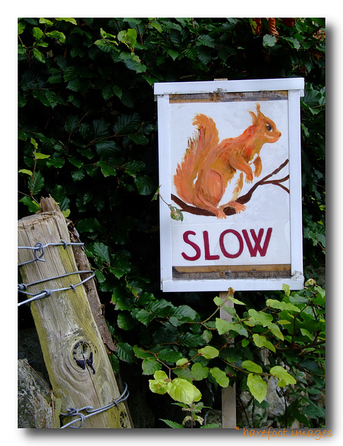 SLOW - or else...