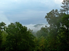 Misty Mountain