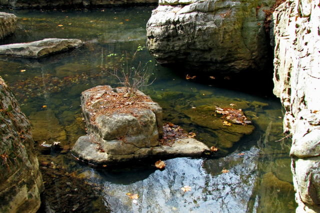 Calvert Prong of the Locust Fork River