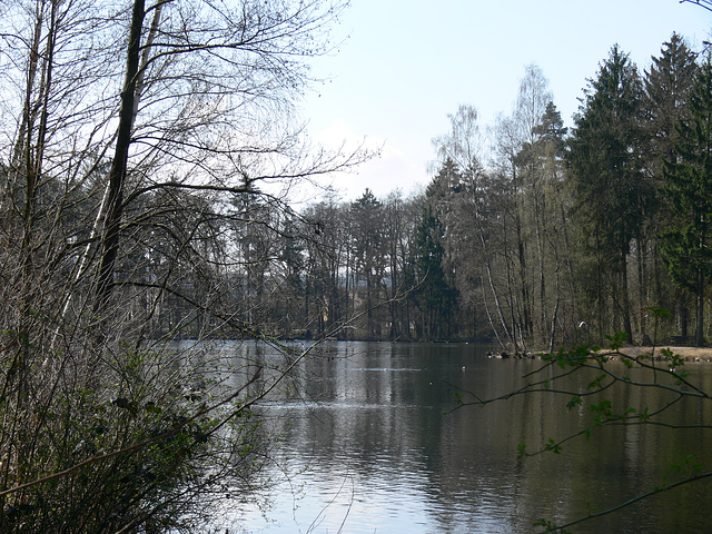 Blick über den Weiher