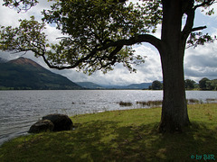 Bassenthwaite Lake II