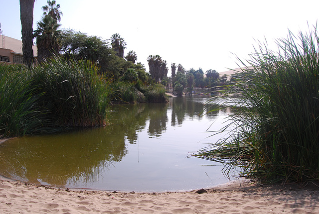 Reflets sur la lagune Huacachina