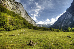 Zwischen Königssee und Obersee