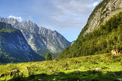 Zwischen Königssee und Obersee 2