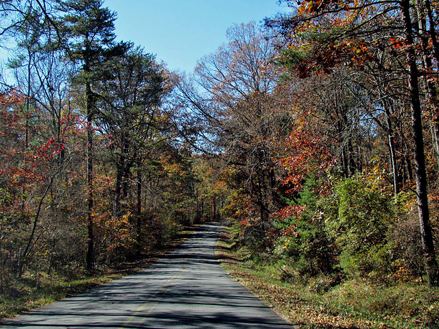 Autumn Drive