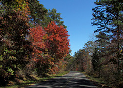 Fall on the Road
