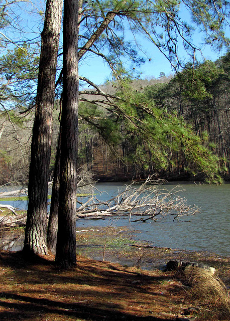 Lake Guntersville