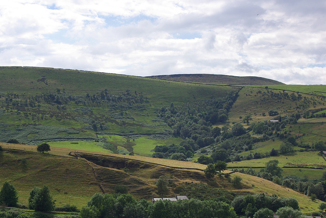 Moorfield Views and wildlife