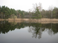 DAV Gewässer bei Jütchendorf