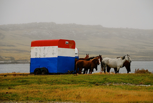 East Falkland