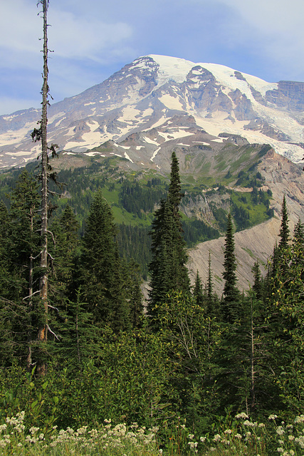 Glacier Vista