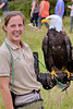 Hawk Conservancy Bald Eagle