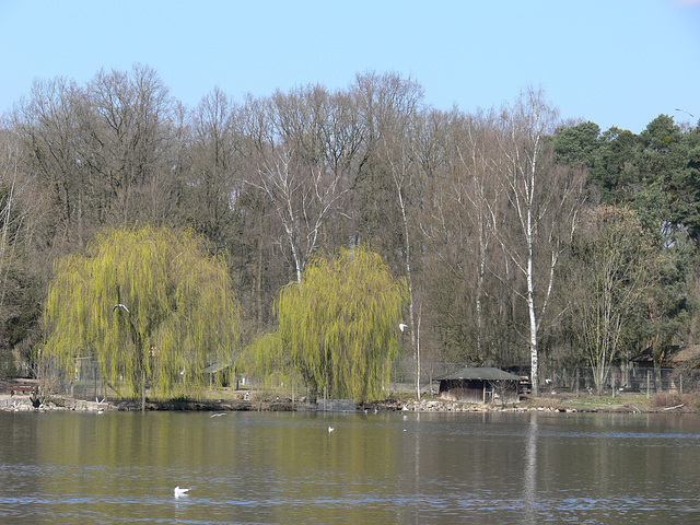 Wildpark Höllohe