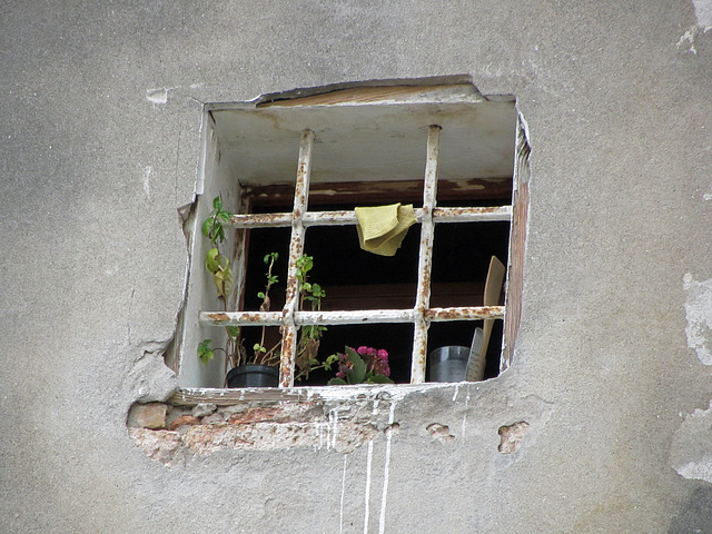 Fenster -1