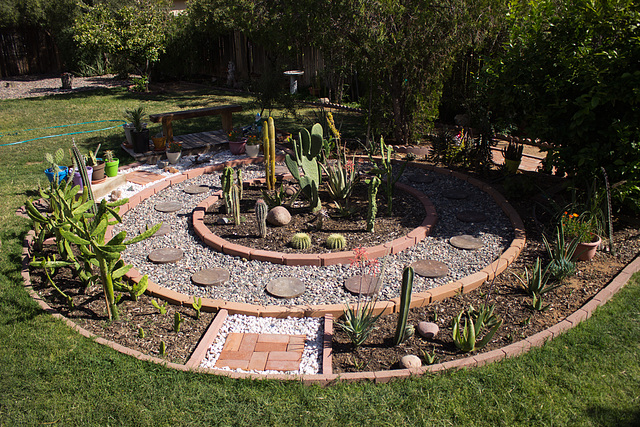 Cactus garden progress 3/21/14