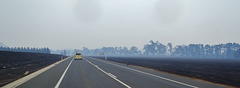 Strzelecki Highway near Morwell