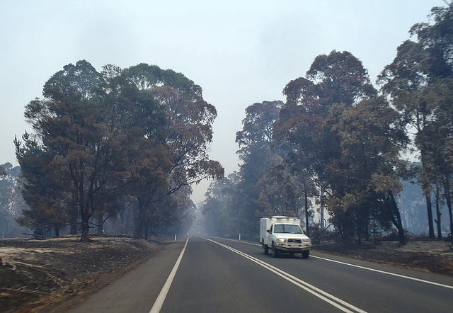 Strzelecki Highway near Morwell