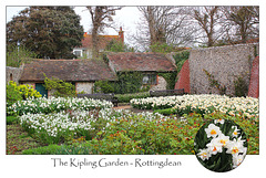 The Kipling Garden  - Rottingdean - 4.4.2014