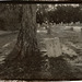 Beechworth Cemetery