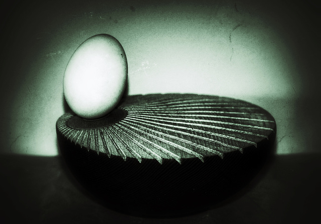 duck egg 12