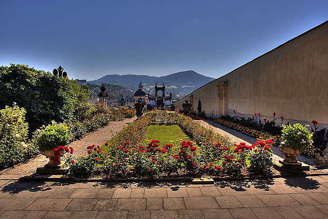 Děčín_Rose garden_1