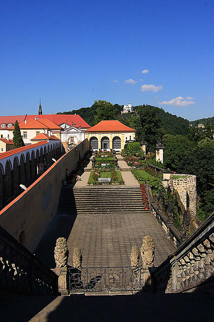 Děčín_Rose garden_4