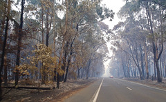 Strzelecki Highway near Morwell