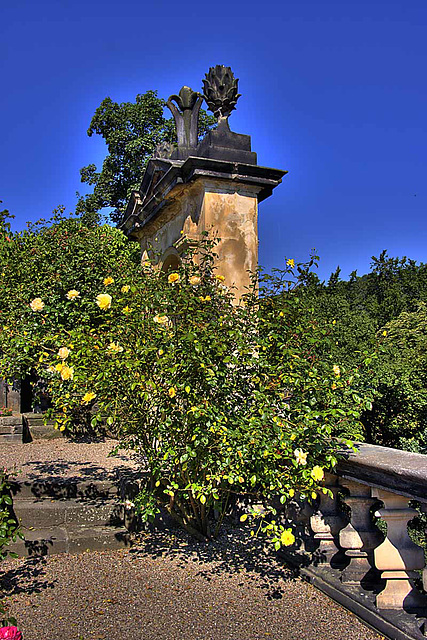 Děčín_Rose garden_2