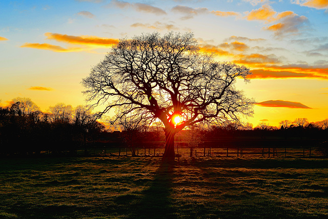 Haughton sunset